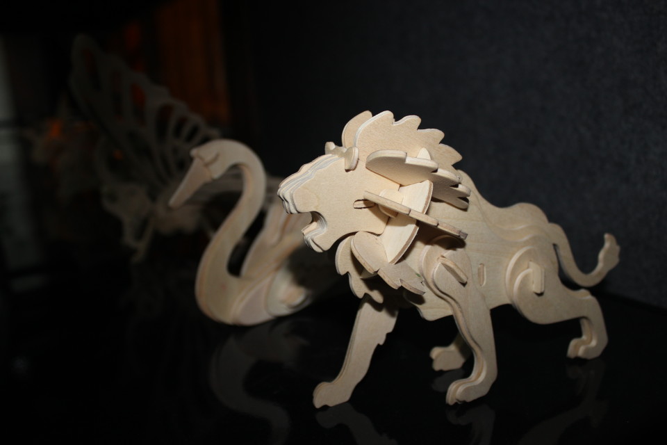 ����һ��